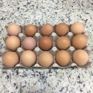 Huevos Frescos 15 Und