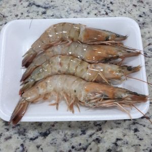 Langostino