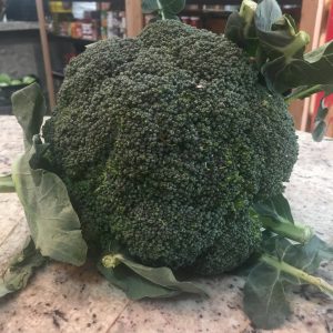 Brocoli