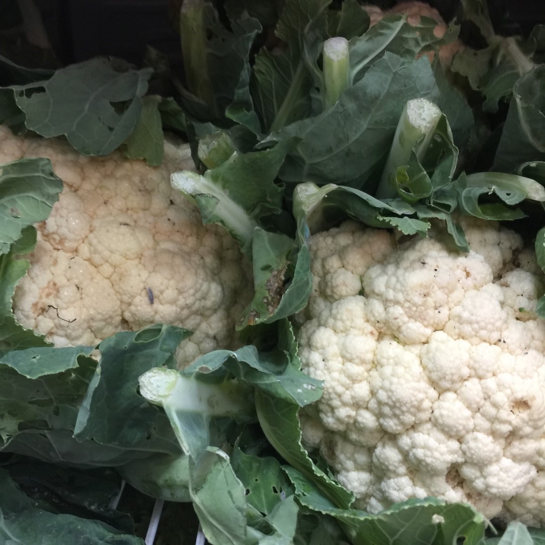 coliflor 2