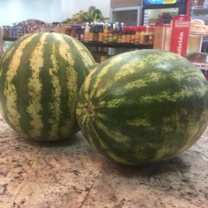 Patilla (Ver descripcion)