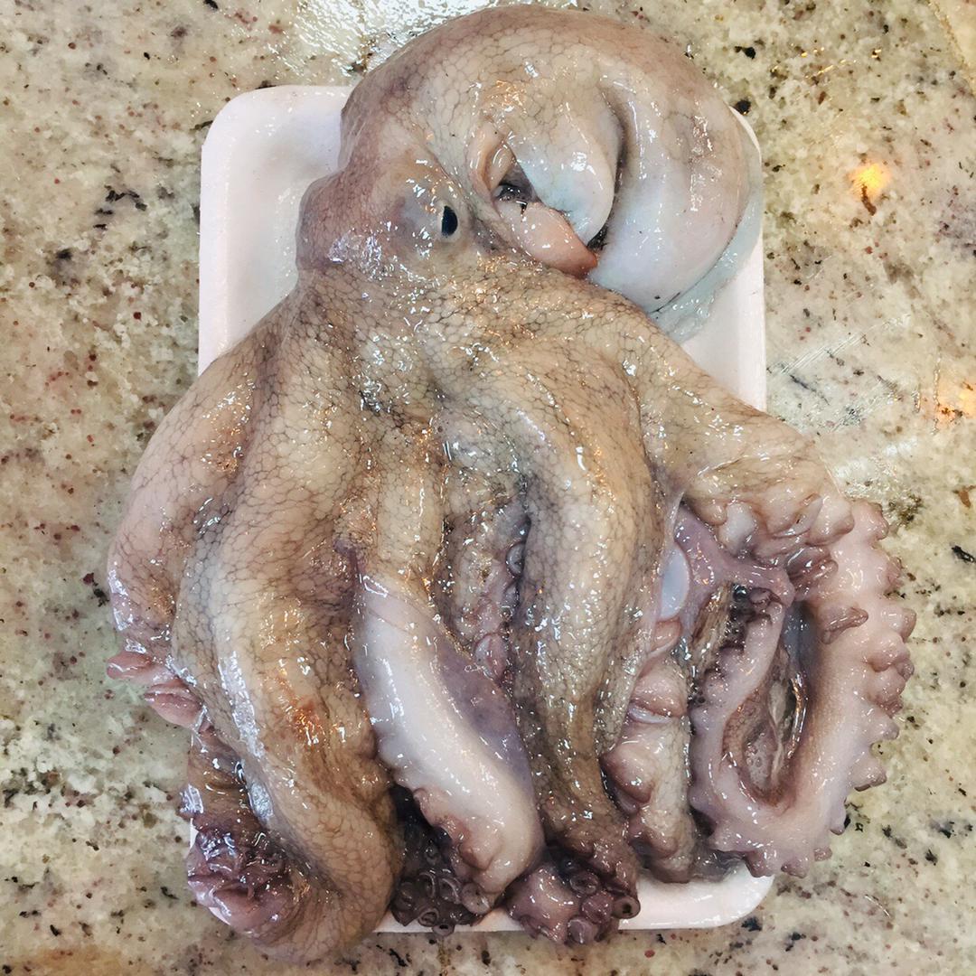 pulpo