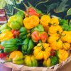 Aji Margariteño